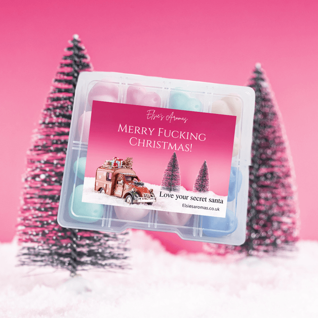 CHRISTMAS GIFT BOX MERRY F**KING CHRISTMAS SECRET SANTA